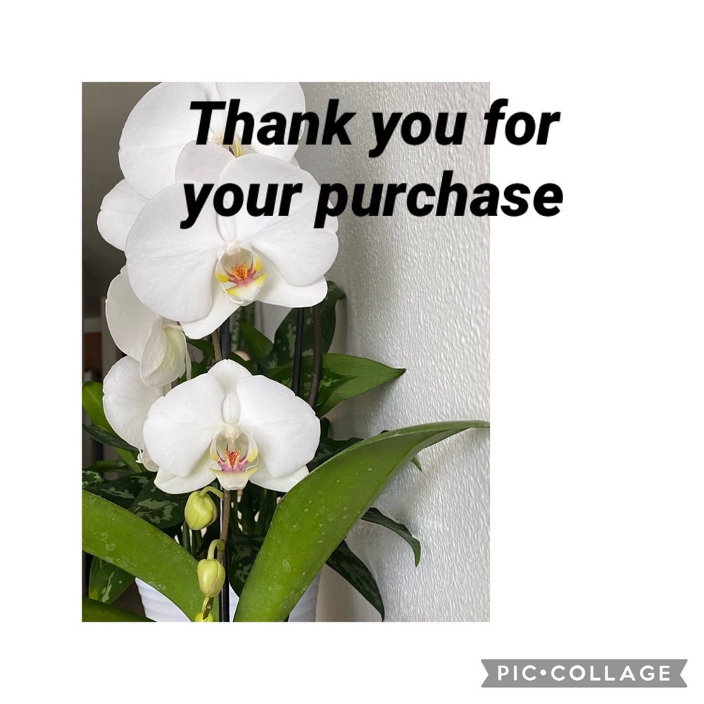 Thank you for all your support